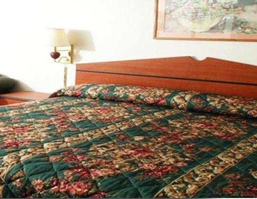 Executive Inn ダラス 部屋 写真